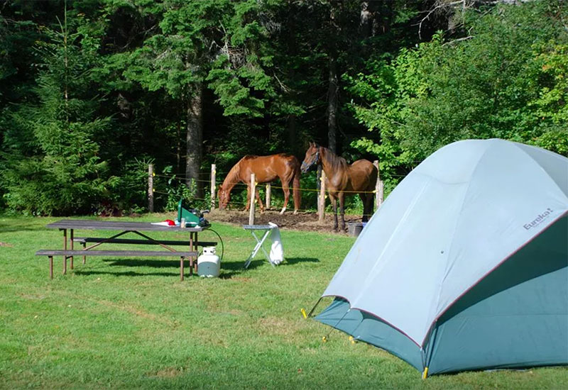 Horse camping at New Discovery State Park