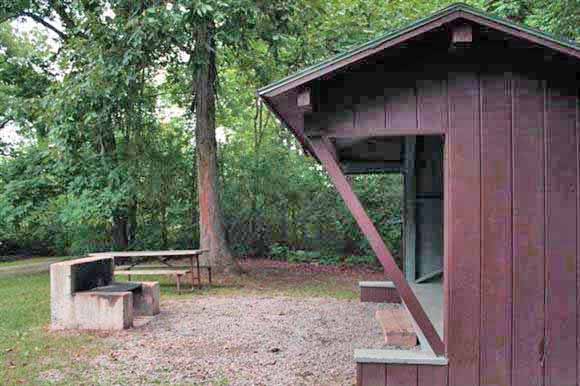 Lean-to Hornbeam