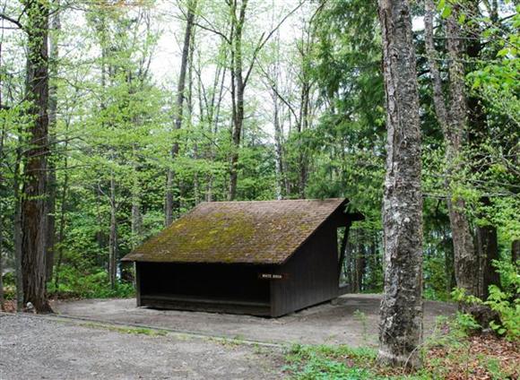 Prime Lean-to White Birch