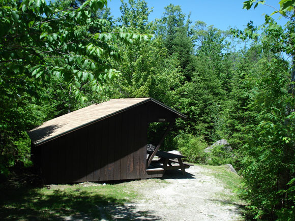 Lean-to Birch