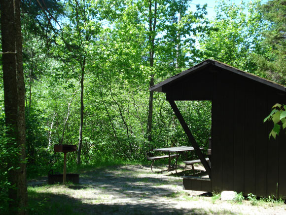 Lean-to Spruce