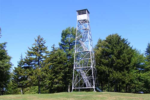 The fire tower at Allis State Park
