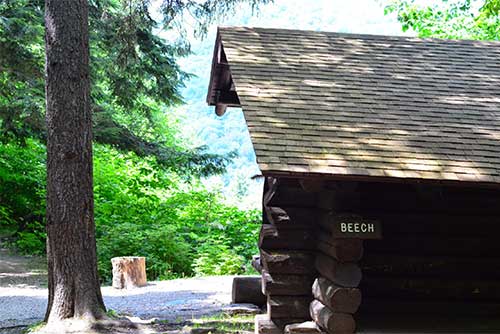 Beech lean-to at Coolidge State Park (photo credit: Paul Detzer)
