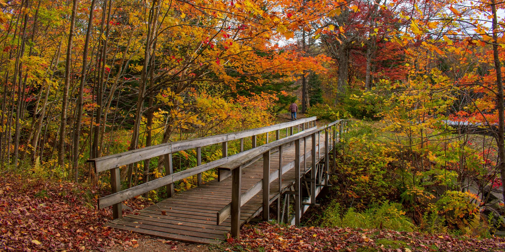 A wooden footbridge surrounded by trees in vibrant reds, yellows, and orange