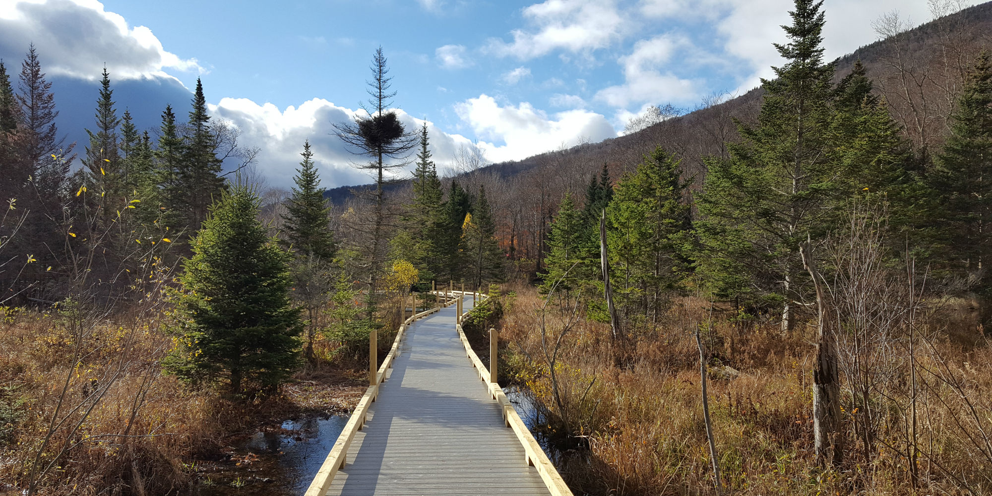 Universallyccessible Boardwalk at Smugglers' Notch State Park