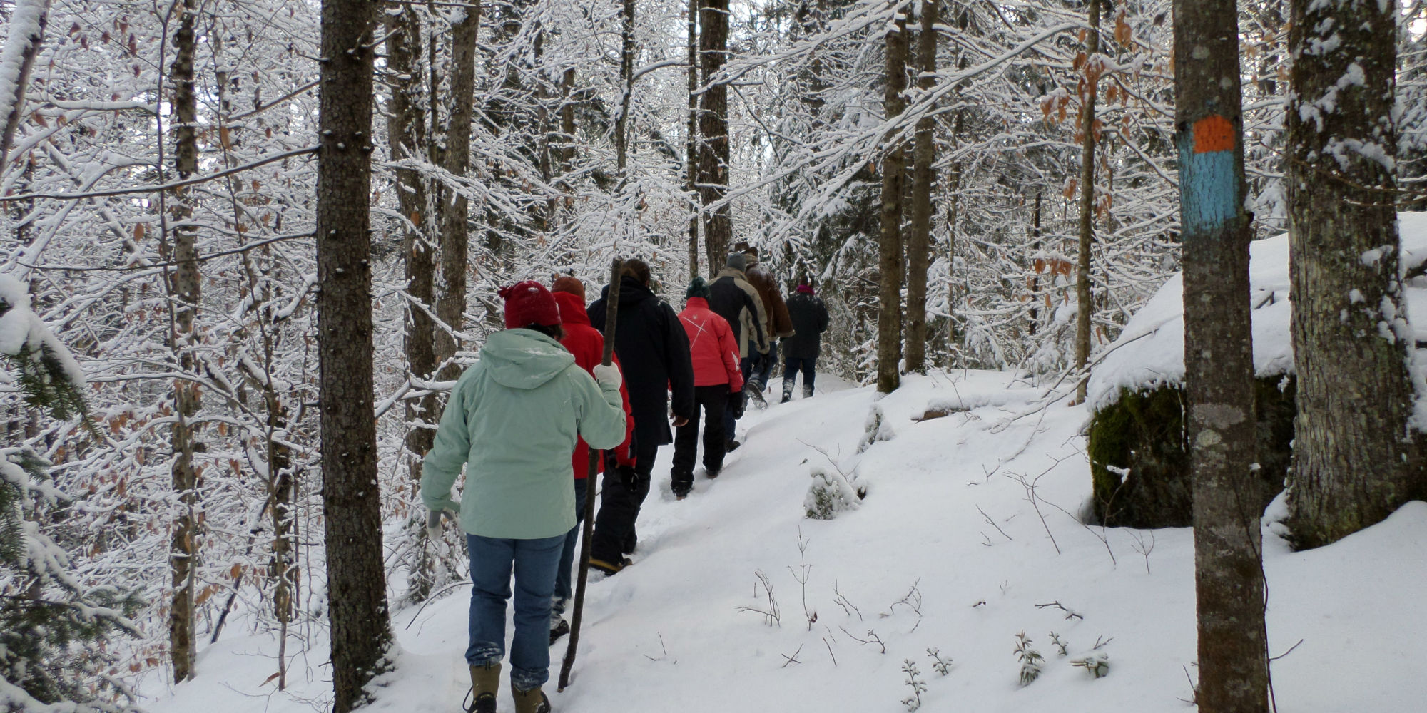 Hikers enjoy the winter terrain.