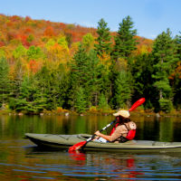 A kayaker paddles with foliage in the background