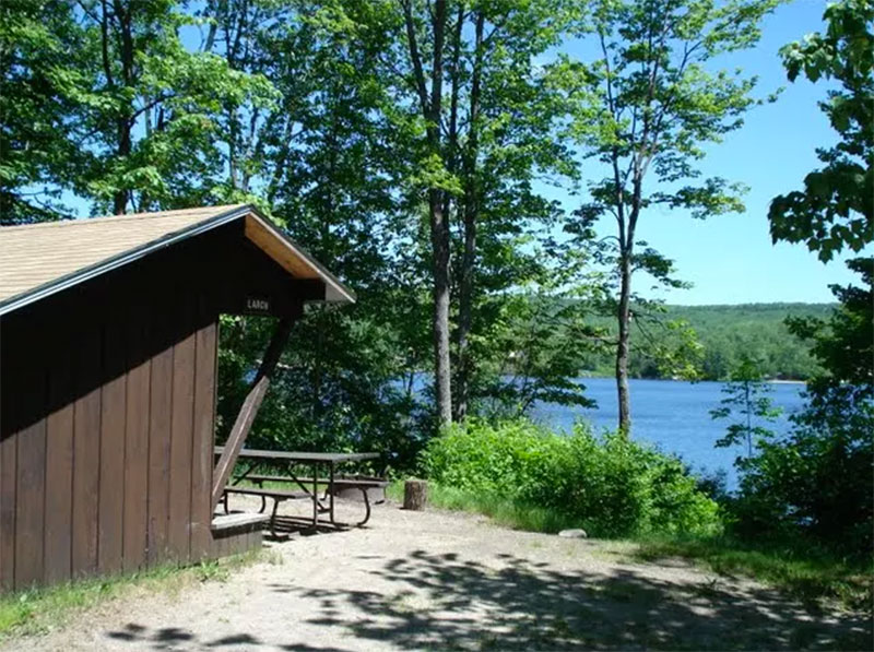 The Larch lean-to site at Stillwater State Park