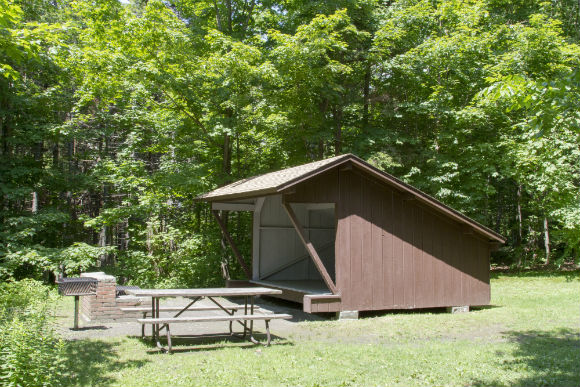 Lean-to Hemlock