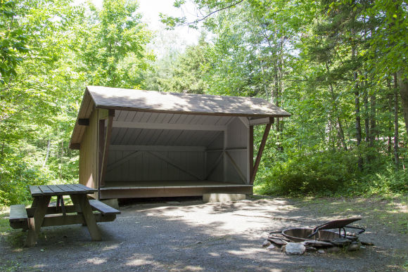 Lean-to Poplar