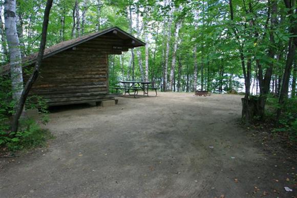 Prime Lean-to Dogwood