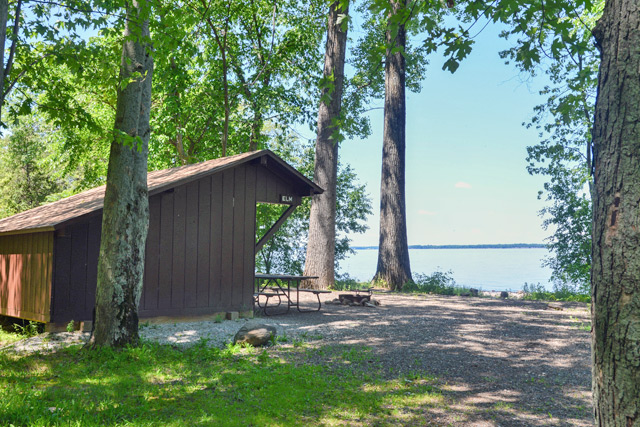 Prime Lean-to Elm