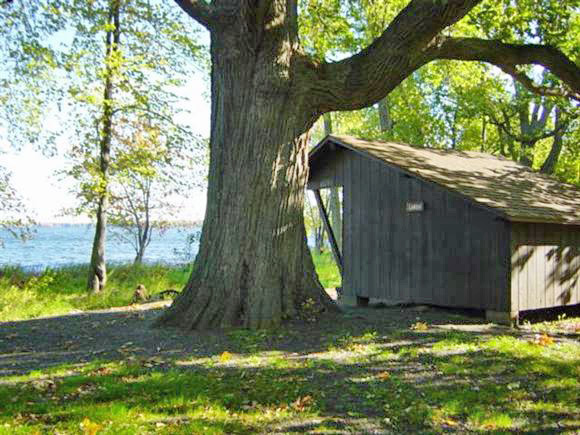 Prime Lean-to Larch