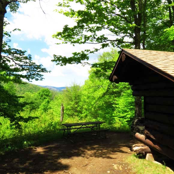 Prime Lean-to Basswood