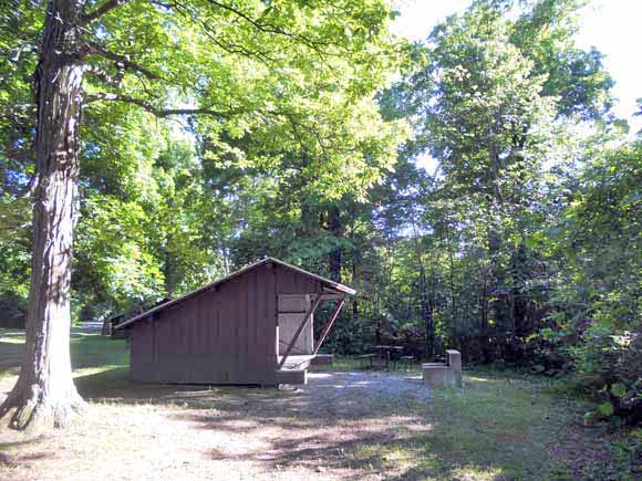 Lean-to Poplar