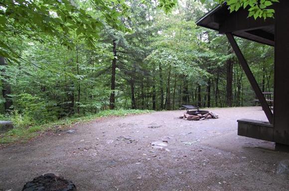 Prime Lean-to Larch