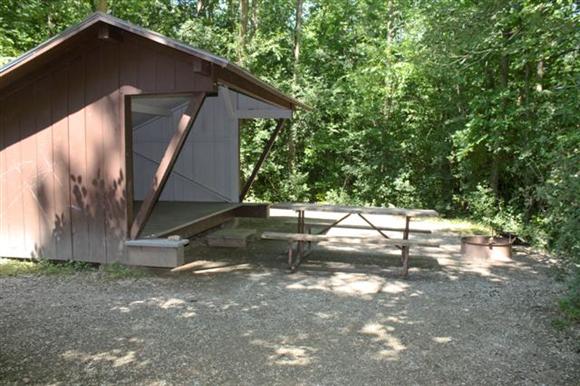 Prime Lean-to Sycamore