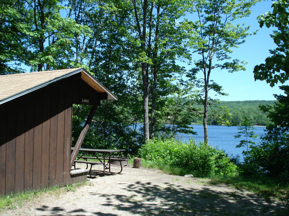 Prime Lean-to Larch